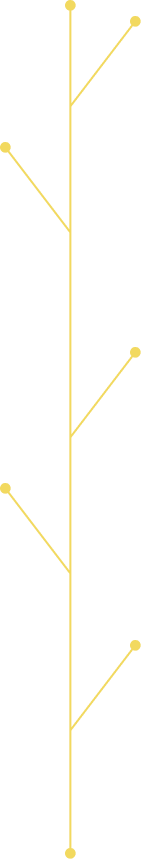 Safety & Housekeeping timeline